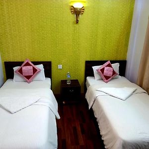 Standard Twin Room Mountain View